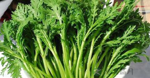 茼蒿和生菜能一起炒吗