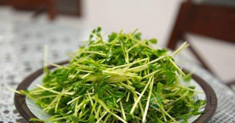 豆苗炒鸡片什么时候放调料