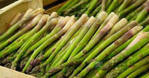 芦笋煎黄菜的营养价值