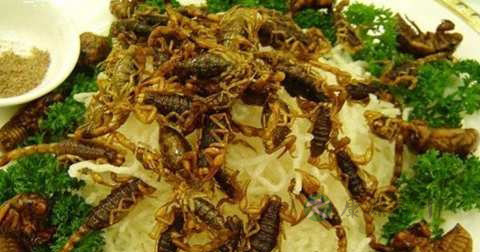 做酥炸全蝎放什么调料