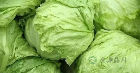 球生菜能炒什么菜