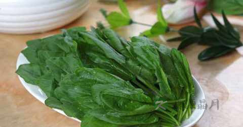 炒菠菜要焯水吗