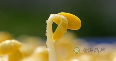 做油发豆莛放什么调料
