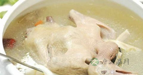黄山炖鸽怎么做最有营养