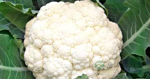 菜花能和什么一起炒