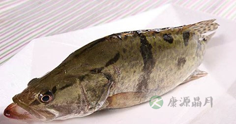 烤花揽桂鱼什么时候放调料