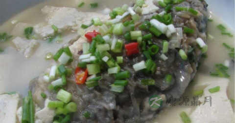 炖鱼放豆腐好吗