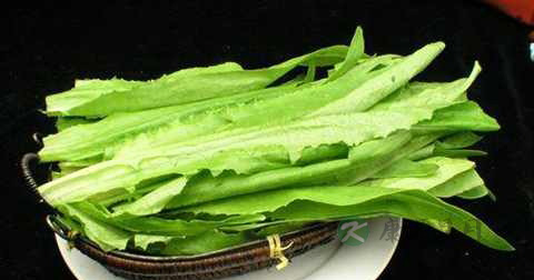 油麦菜和生菜一起炒吗