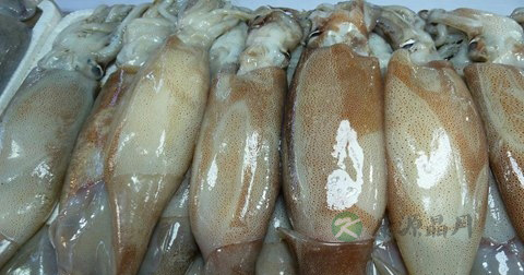 玻璃鱿鱼什么时候放调料