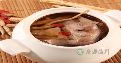 乳鸽汤怎么做最有营养