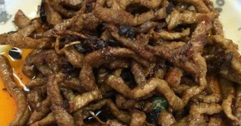 干煸肉丝怎么做最有营养