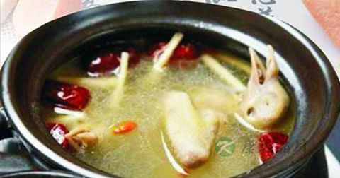 乳鸽汤什么时候放调料