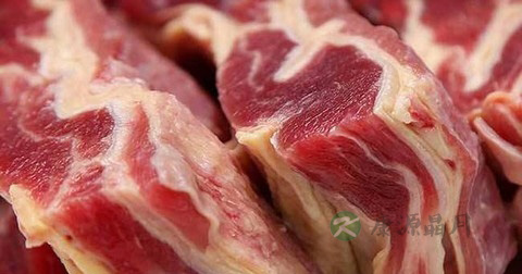 煲牛腩汤用什么锅