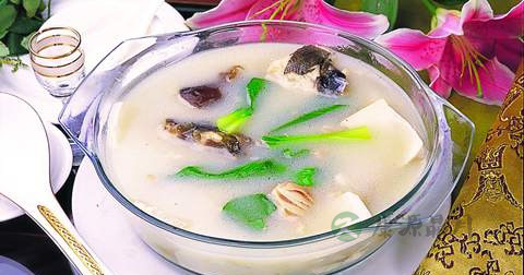 鱼头豆腐汤什么时候放调料