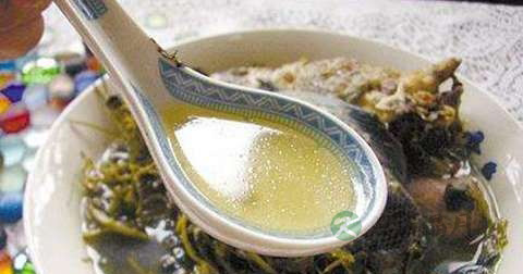生鱼葛菜汤怎么做最有营养