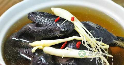 乌骨鸡归黄汤的营养价值