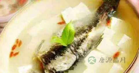 炖鱼放豆腐好吗