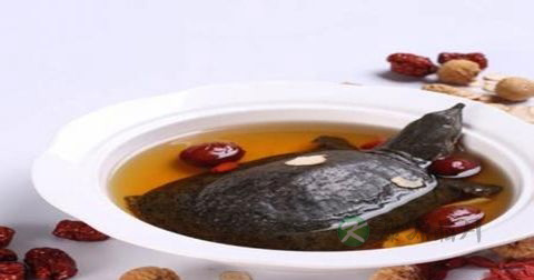 清炖马蹄鳖什么时候放调料