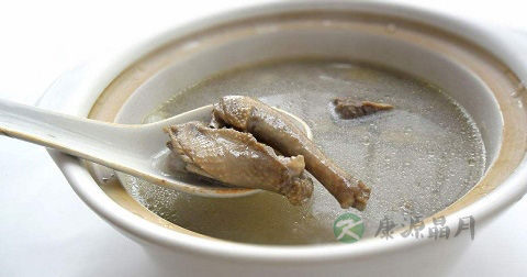 薏仁鸽子汤的营养价值