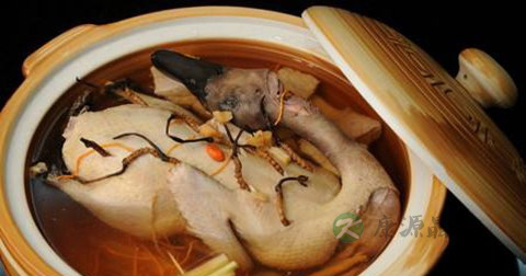 虫草鹌鹑什么时候放调料