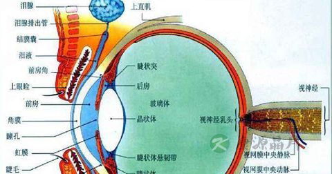 盲点