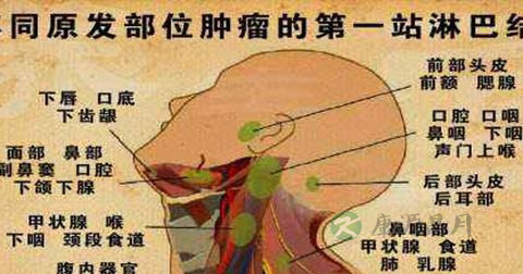 颈部淋巴结肿大