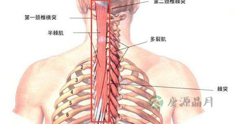 小儿肺炎