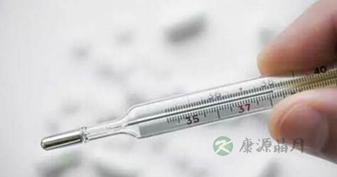 肛门体温计