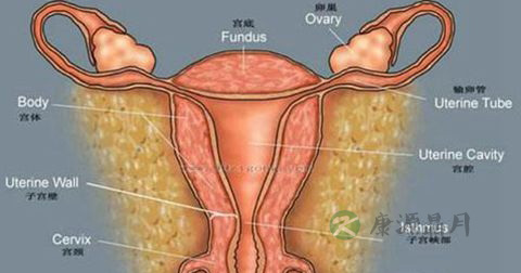 前庭大腺囊肿