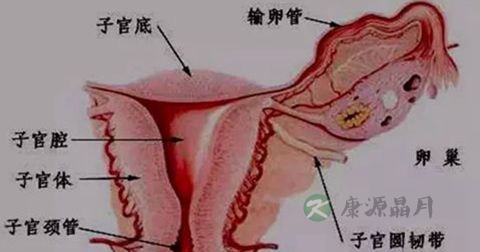 恶露