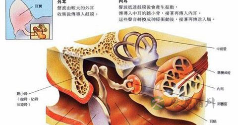 中耳炎