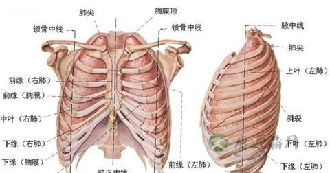 胸水检查