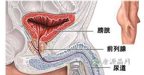 生殖器疱疹