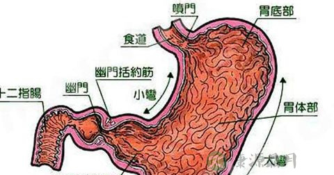 贲门癌