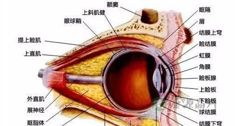 盲点