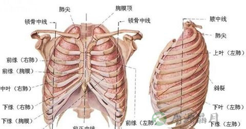 胸闷