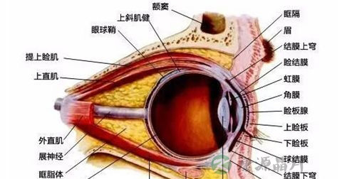 白内障