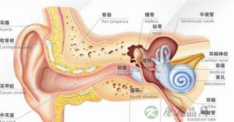 中耳炎
