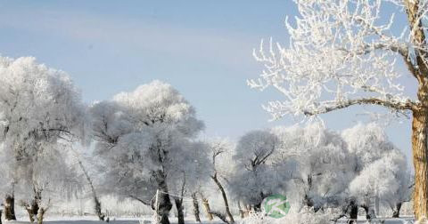 大雪