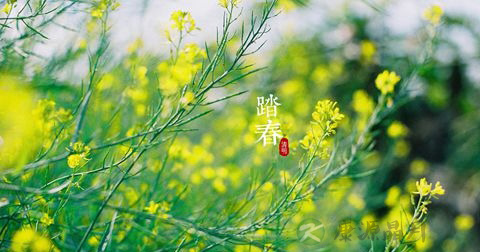 清明节