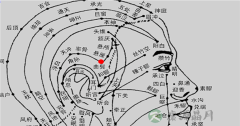 曲鬓穴