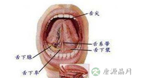 舌下穴