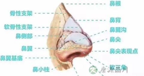 鼻出血