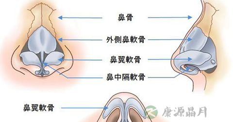 鼻出血
