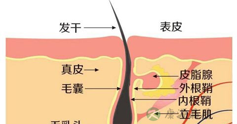 脸过敏