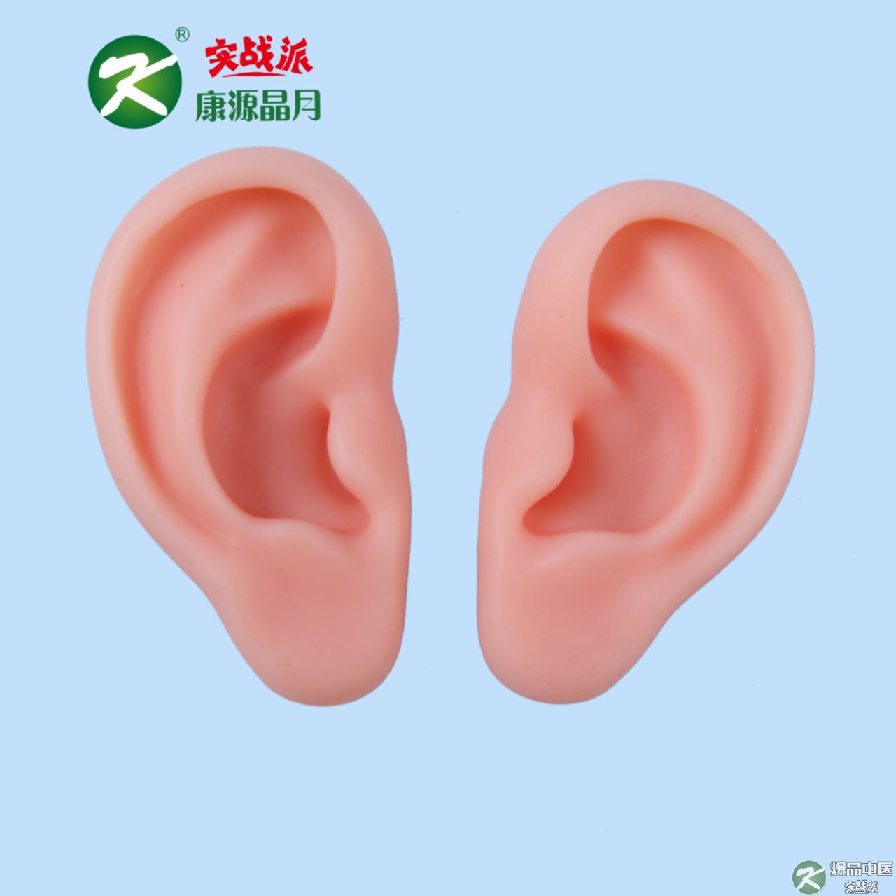 小耳朵模型