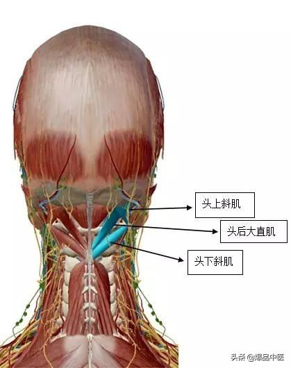 “从头到脚”的纯干货，珍藏版