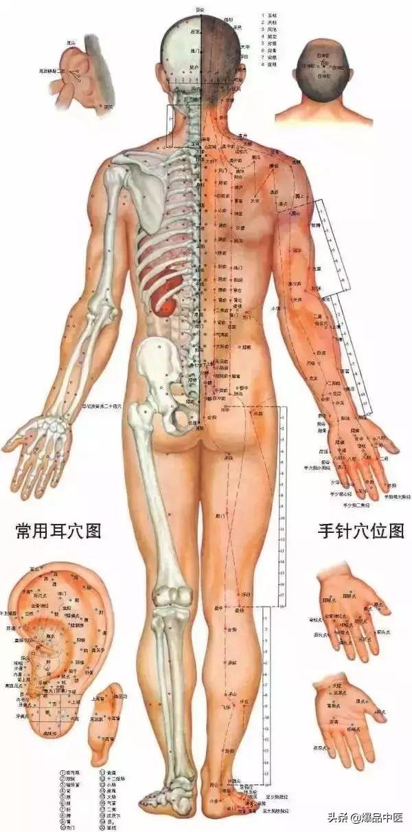 40个常见病穴位按摩大全，请珍藏