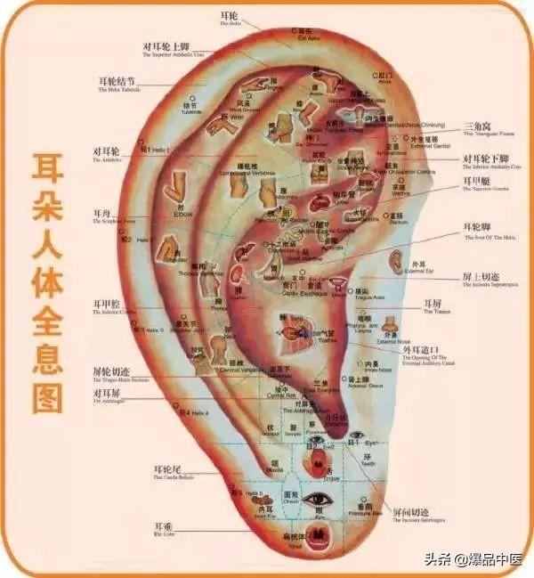 40个常见病穴位按摩大全，请珍藏