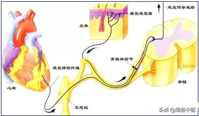 超级实用的腰腿痛临床诊断思维，值得收藏